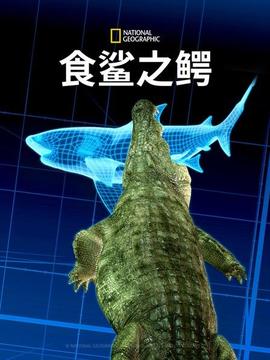 食鲨之鳄